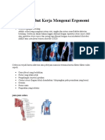 Penyakit Akibat Kerja Mengenai Ergonomi