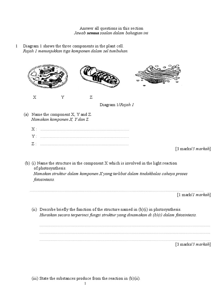 Latihan F4 KSSM 3 | PDF | Zoology | Cell Anatomy