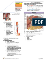 BCA-Human Structural Biology- Abdominal Organs Overview