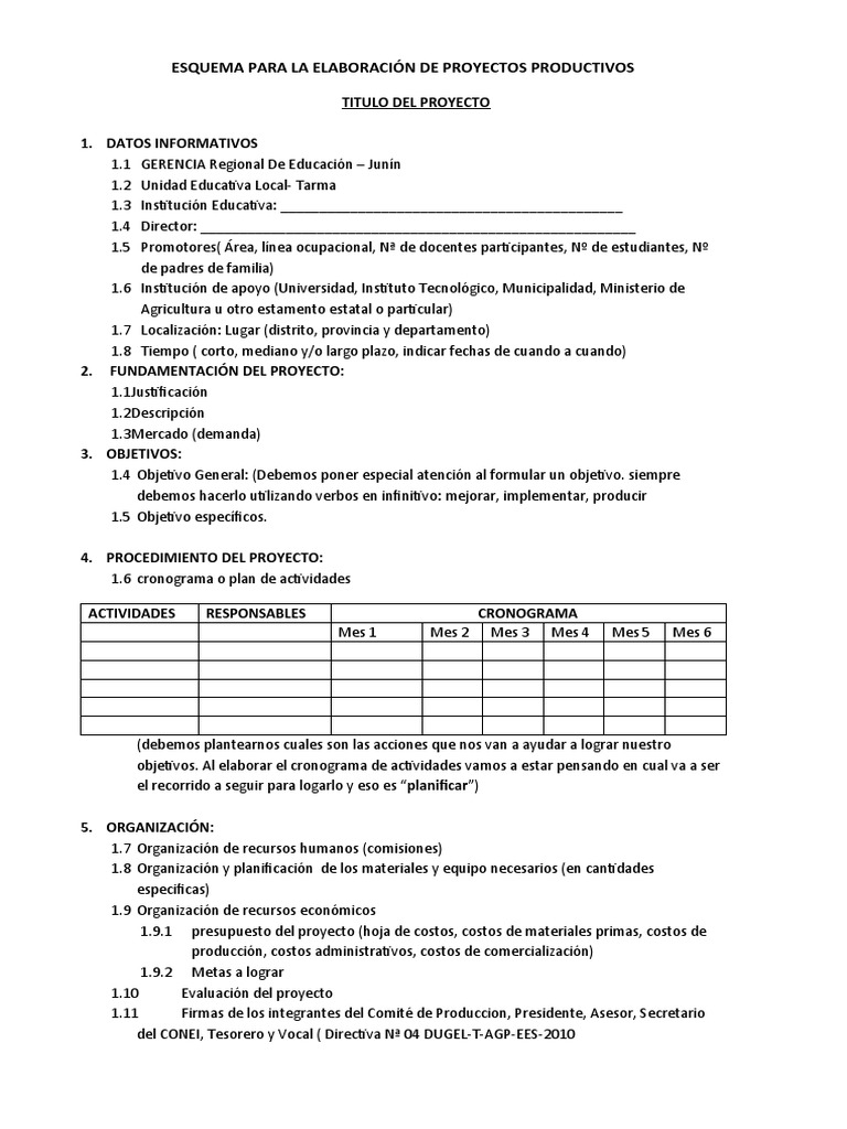Esquema para La Elaboracion de Proyectos Productivos | PDF