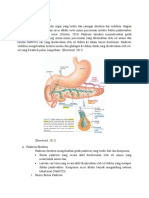 Fisiologi Pankreas