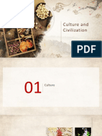 Culture and Civilization-1-17