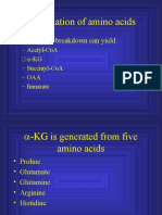 Degradation of Amino Acids: - Amino Acid Breakdown Can Yield