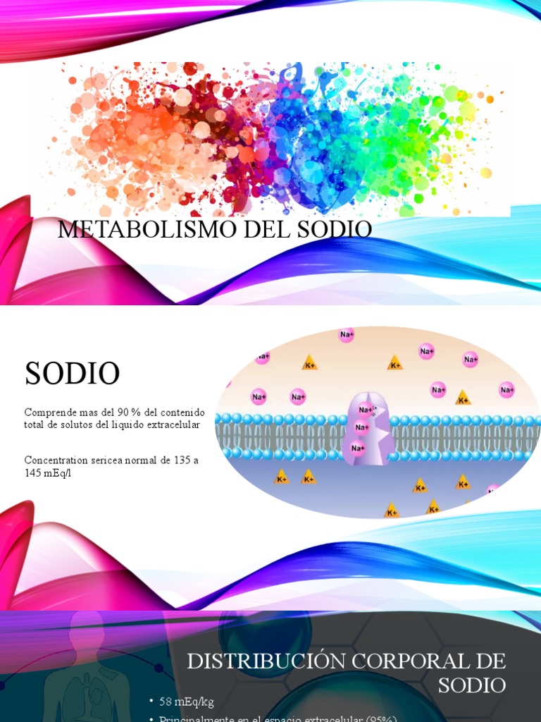 Metabolismo y Regulación del Sodio | PDF | Sodio | Anatomia animal