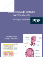 Figuras Embriologia Sistema Cardiovascular 3 - Vasos