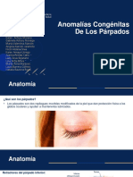 Anomalias Congenitas de Los Párpados