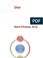 Sistem Otot-NF
