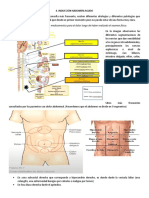 Dolor abdominal agudo: causas y localización