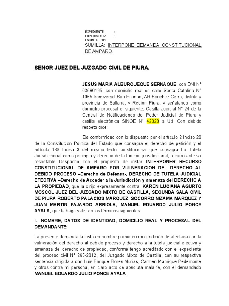 Demanda de Amparo Contra Resoluciones Judiciales Maria Sernaque | PDF ...