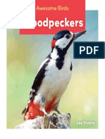 Woodpeckers: Awesome Birds