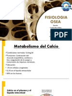 Fisiologia Osea