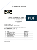 University of Dar Es Salaam: Practical Report 3 Group 9