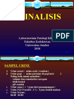 Urinalisis PPT 2