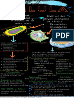 La Celula Infografia 1 Downloable