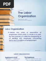 The Labor Organization