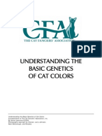 understanding-cat-colors