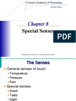 Special Senses: Elaine N. Marieb