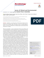 Draft Genome Sequences of Clinical and Environment