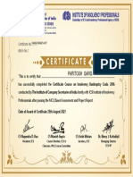 Certificate: Institute of Insolvency Professionals