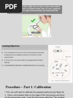 Manual Practica Measuring Cell Size and Calculating Magnification ...