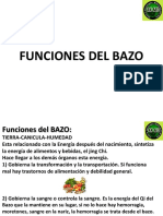 Funciones Del Bazo1