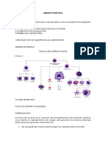 Unidad II Del Modulo