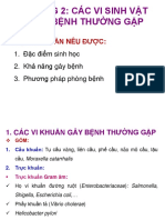 Chương II. Vi Khuẩn Gây Bệnh Thường Gặp