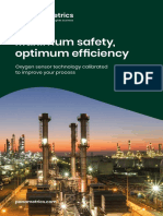 Panametrics Oxy Product Brochure PDF
