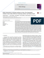 Redox Homeostasis in Stomach Medium by Foods The P