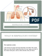 Icon adds respiratory system picture