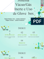 SVG Sitema Gas Inerte e Glove Box - Final1