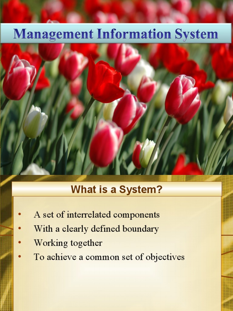 Mis - 1 | PDF | Information System | System