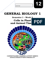 C Specialized GeneralBiology1 Sem1 Clas3 CellsinPlantand-AnimalTissue v2