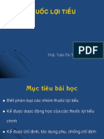 1. Thuốc Lợi Tiểu Tổng Hợp