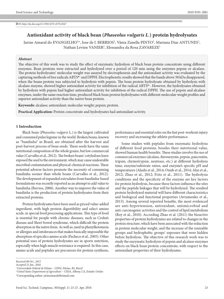 Antioxidant Activity of Black Bean (Phaseolus Vulgaris L.) Protein ...