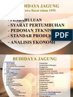 Budidaya-Jagung