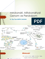 Mitokondri, Mitokondriyal Genom Ve Peroksizom