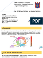 Metabolismo de aminoácidos y respiración bacteriana