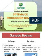 Tecnología Agropecuaria: Sistemas de producción bovina