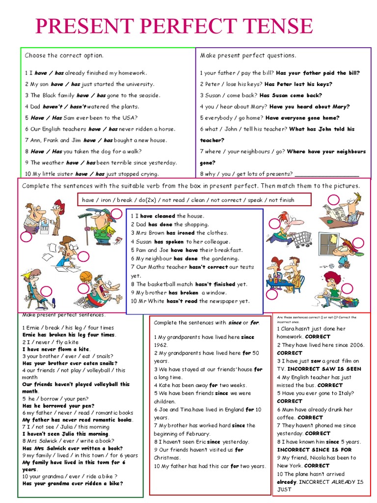 Present Perfect Tense Exercises | PDF