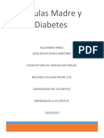 Células Madre Y Diabetes