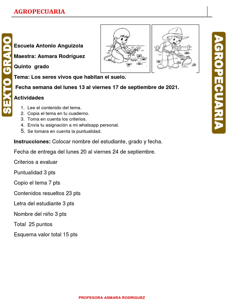 Actividades sobre el Suelo para Primaria | PDF | Suelo | Agua