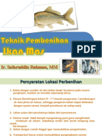 PEMBENIHAN MAS