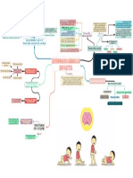 Mapa Conceptual