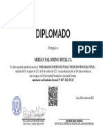 Diplomado: Mirian Palomino Huillca