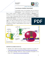 Tarea 5. Síntesis de proteínas