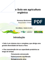Manejo Solo Agricultura Organica Ronessa Souza