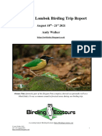 Indoneisa - Lombok Birding Trip Report 2021
