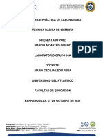 Informe de Técnicas Básicas de Siembra