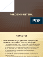 Agroecossistema - Esquema Explicativo 01